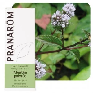 Borsmenta illóolaj (Mentha Piperita) - BIO -10 ml