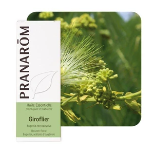 Szegfűszeg illóolaj (Eugenia Caryophylata) - BIO - 10 ml