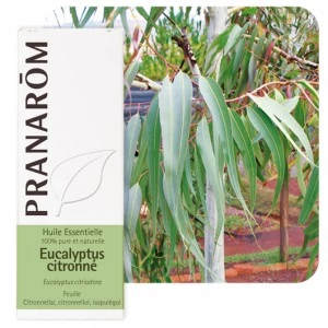 Vietnámi eukaliptusz illóolaj (Eucalyptus Citriodora), 10 ml