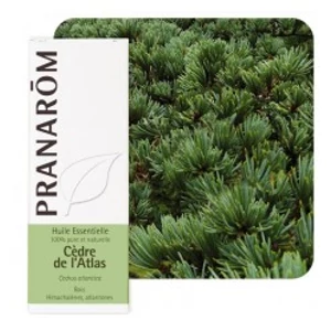 Cédrus illóolaj (Cedrus Atlantica), 10 ml