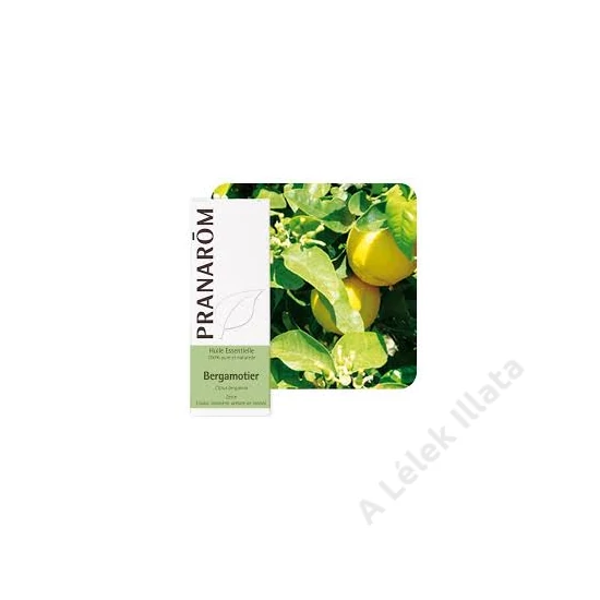 Bergamott illóolaj (Citrus bergamia), 10 ml - bio