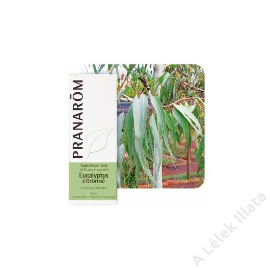 Vietnámi eukaliptusz illóolaj (Eucalyptus Citriodora), 10 ml